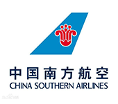 南方航空737MAX项目 - 捍卫者
